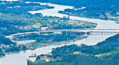 茶山深處的“土地生金”密碼